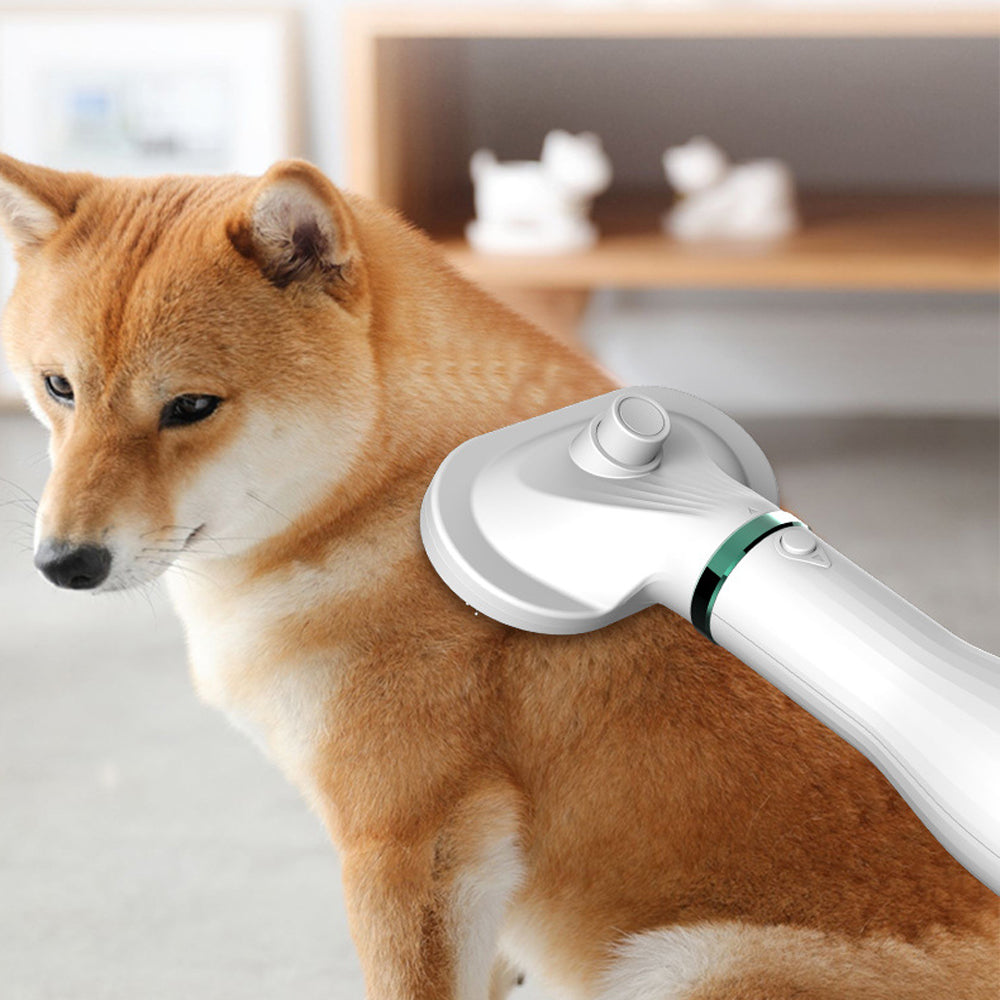Pet Electric Hair Dryer