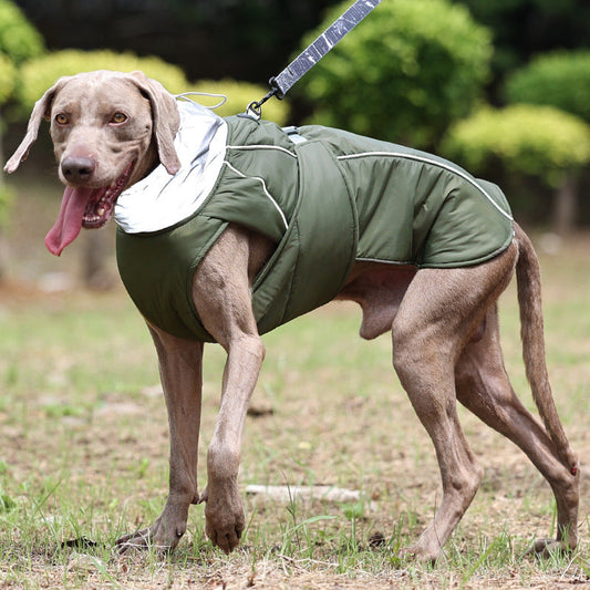 Durable Waterproof Dog Jacket