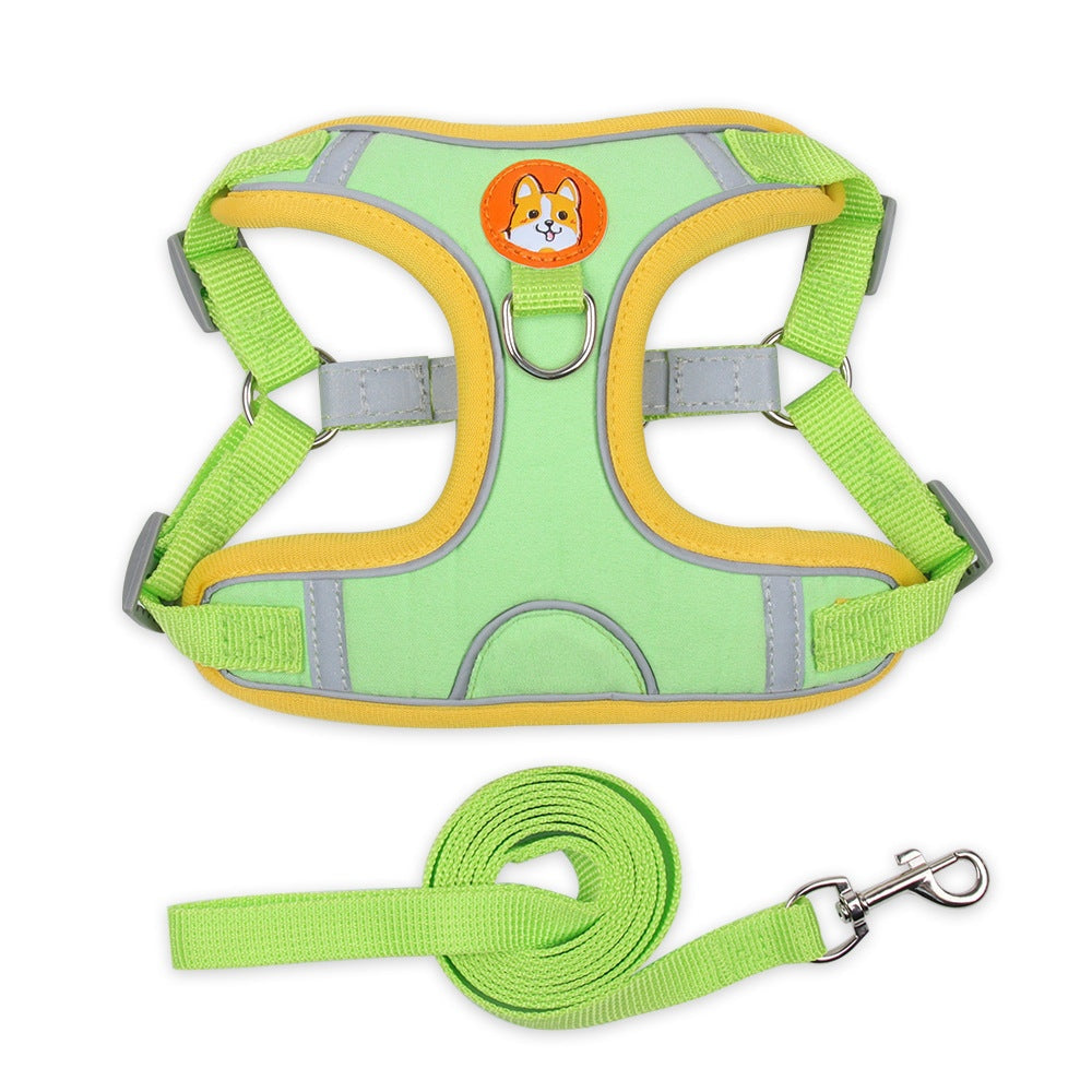 Dog Harness